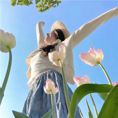 布里斯营